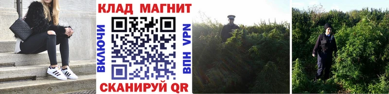 Магазины продажи наркотиков Нытва Амфетамин  Каннабис  СОЛЬ  Меф мяу мяу  Гашиш 