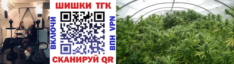 OMG ONION  Нытва  МАРИХУАНА OG Kush 